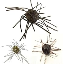 Amazon.co.jp: フィールドサイド(Field Side) サイコロラバー 12mm